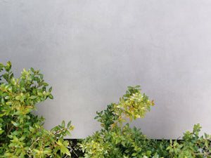 Pure™ | Smoke Grey Concrete Effect Porcelain Paving Tiles (60x90x2cm)  Paving Stock   