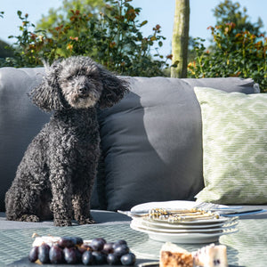 Ascot 3 Seat Sofa Dining Set with Rising Table | Grey  Maze   