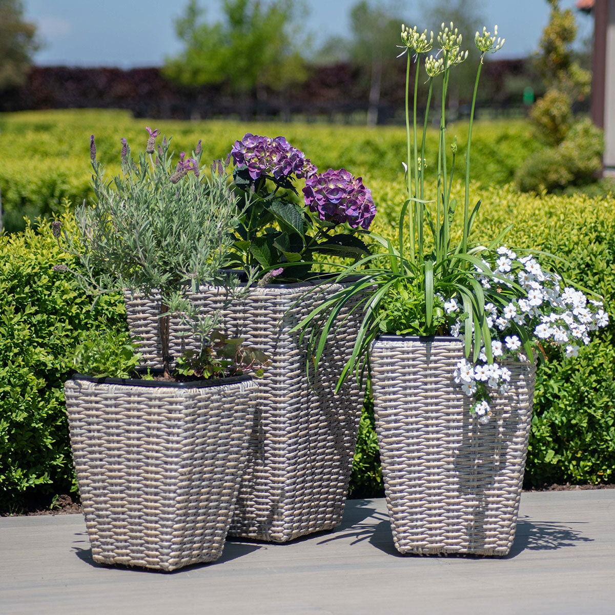 Shaped Planter Set | Grey/Taupe | Cotswold