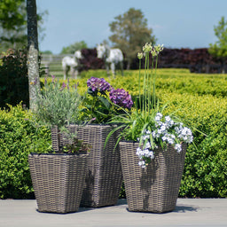 Shaped Planter Set | Natural | Winchester